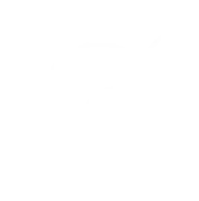 bulb